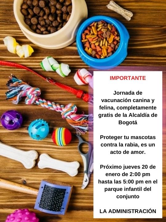 Vacunación de mascotas
